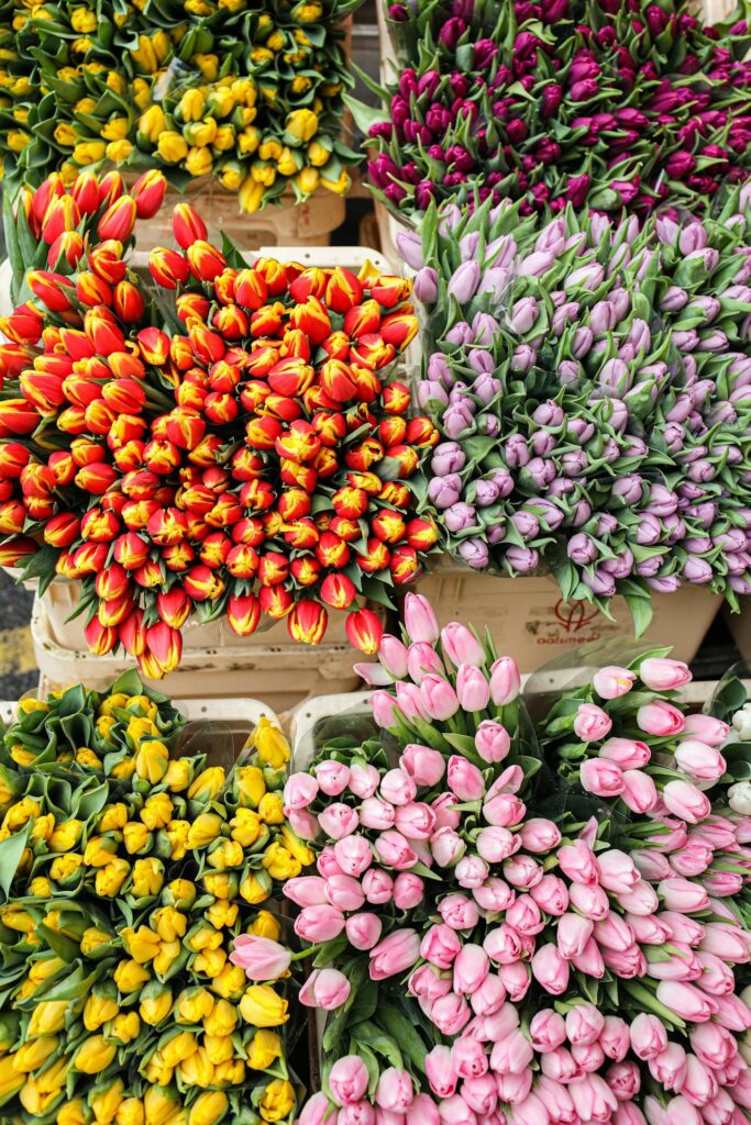 Mastering the First Impression: Your intriguing post title goes here